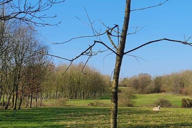 The former nine-hole Goosnargh golf course has not seen play since the summer of 2019