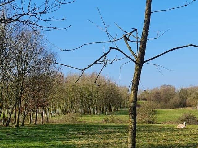 The former nine-hole Goosnargh golf course has not seen play since the summer of 2019