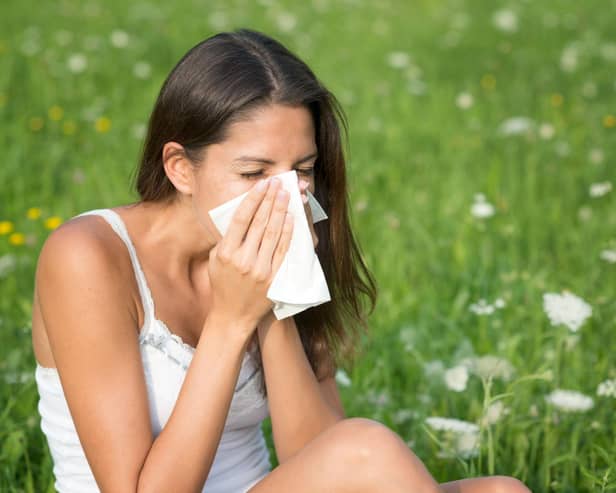 The most common symptoms of hayfever include sneezing and an itchy or irritated throat. Photo: 4FR / Getty Images / Canva Pro.