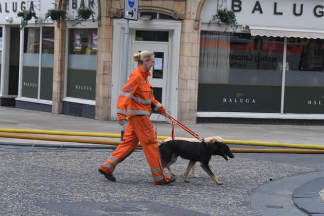 Search dogs were brought in to explore the building but no injuries were reported..