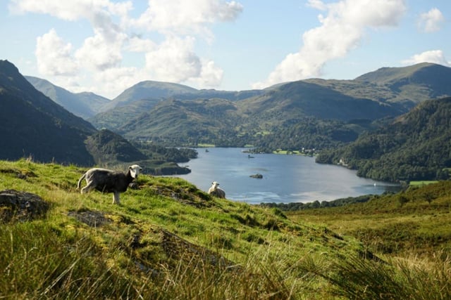 Monica Reynolds says one of her favourite things is that she's not far from the Lake District