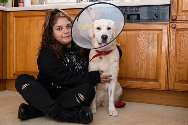 Vanessa Alvarez with her dog Maisie who was attacked by another dog whilst she was taking her out for a walk in Chorley. Photo: Kelvin Stuttard