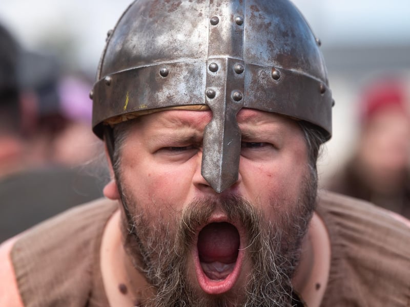 Heysham Viking Festival 2026 - a Viking with a helmet issues a war cry.