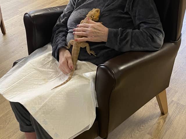 Francis Campbell, 77, meets a lizard from Home Safari at Aaron Crest Care Home