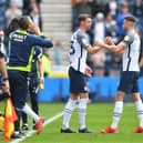 Preston North End defender Paul Huntington comes on as a substitute against Middlesbrough at Deepdale