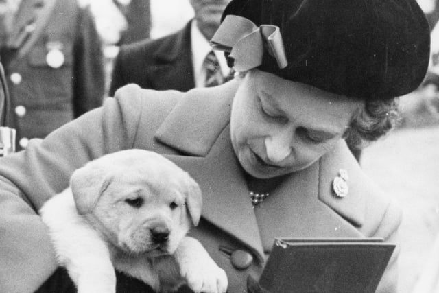 During her visit to Fulwood Barracks the Queen was presented with a six-week-old labrador puppy, which she agreed to name Kimberley - after Kimberley Barracks. The dog stole the show!