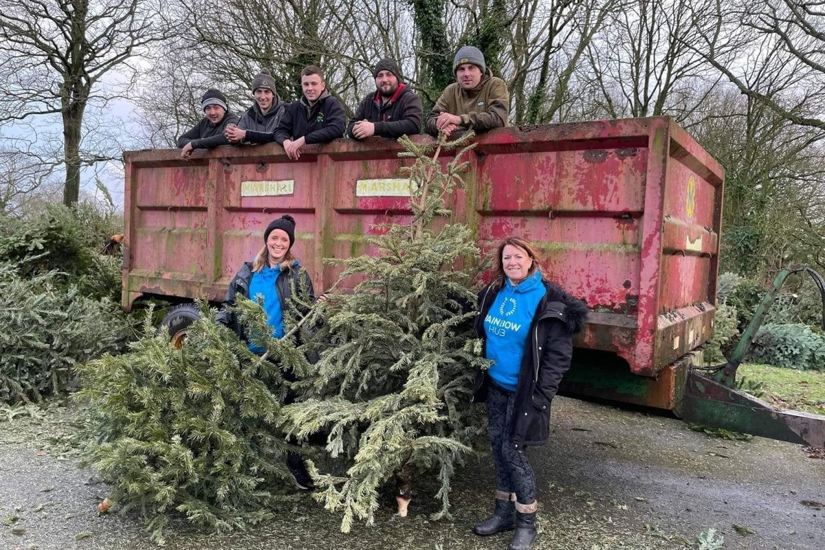 Nobody needs pine needles in the car - this charity will recycle your tree for you