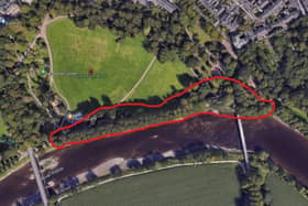 Trees close to the current bridge will be affected by its demolition (image via Preston City Council planning portal)