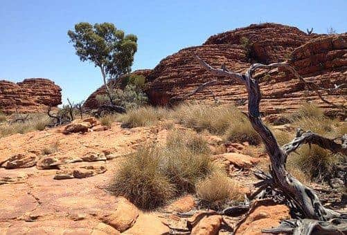 Australia: explore the outback and beyond with a valid e-visa