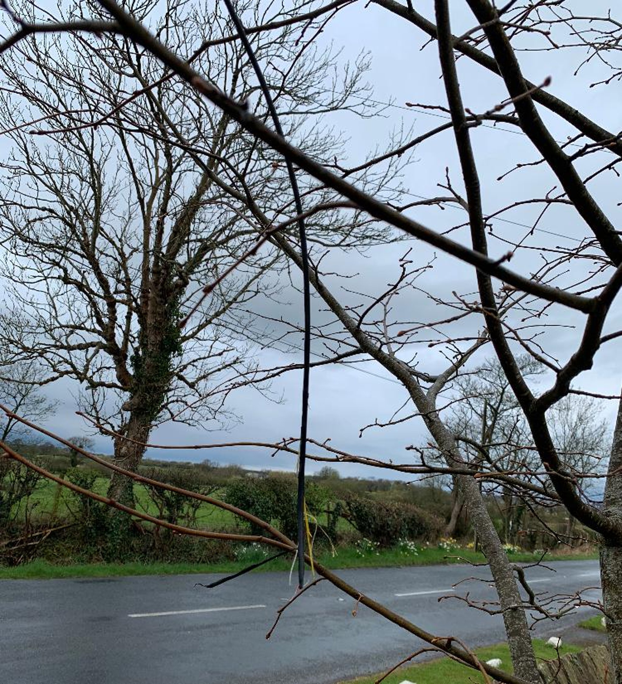 Call for greater support from service provider after village communication cut off by cables being torn down