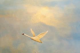 Kathryn Alice Art Swan Painting which can be viewed at Glansin Tea Room in St Annes on sea