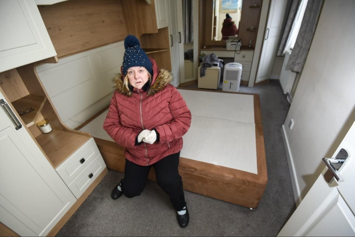 Pensioner left stranded without heat or power told her SOS will be answered . . . in 5 days