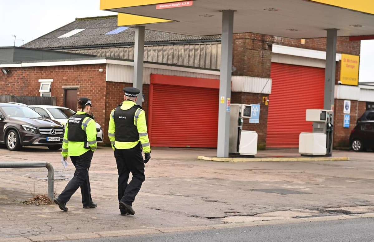 A woman who vanished while walking her dog has ‘two little girls who need their mummy home’, her partner said
