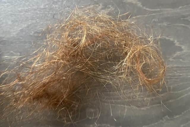 A clump of Ellissia's hair that was ripped out during the horrific assault lies on the floor