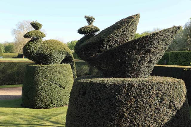 Some of the topiary in the world's oldest topiary garden at Levens Hall and Gardens, Cumbria