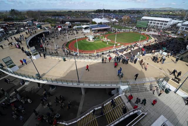 A general view of the parade ring during day three of the Cheltenham Festival