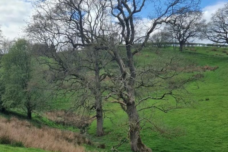 You are surrounded by green fields, trees and wildlife as you head towards the weir