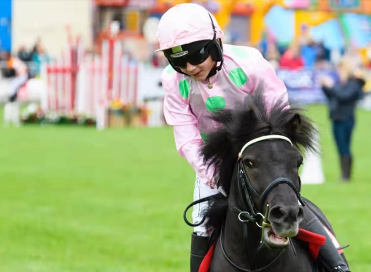 The show must go on! Everything you need to know about the Royal Lancashire Agricultural Show, starting on Friday