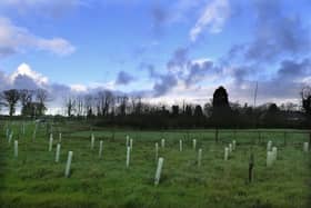 The proposed housing plot off Avice Pimblett Way is deemed to be an area of open countryside