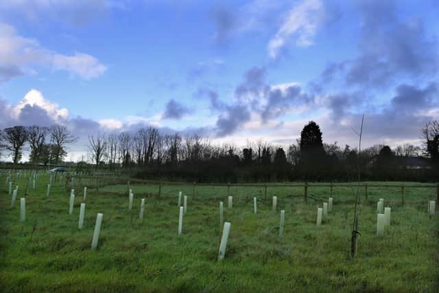 The proposed housing plot off Avice Pimblett Way is deemed to be an area of open countryside