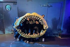 Deepdale Central (PMGHS) Scouts sleepover at Sealife Centre