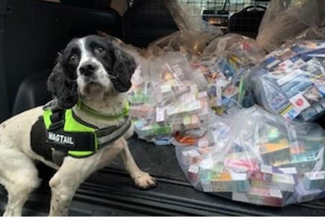 Clever Pippa the sniffer dog has found £18,500 of illegal tobacco products