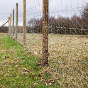 Release The Dogs' fields are bound by six-foot-high fencing - but is that enough?  (image:  Release The Dogs)