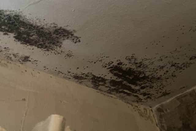 Rachel Schofield's home is full of black mould and has no insulation or damp proof course.