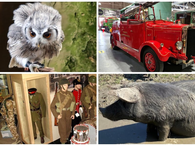 These are the 10 best things to do in Preston according to Tripadvisor