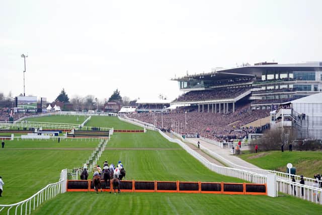 A full crowd in the stands watch the runners and riders during the Sky Bet Supreme Novices' Hurdle during day one of the Cheltenham Festival at Cheltenham