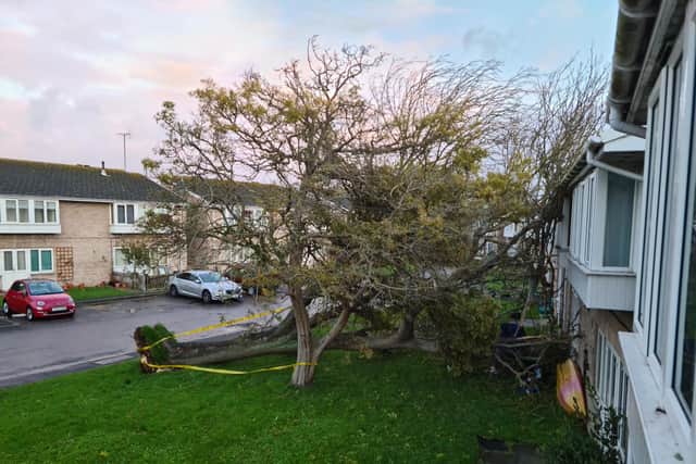 Heavy winds from Storm Claudio have upended a tree causing it to fall down on flats on a Bognor Road.
Pic by Neil Cooper