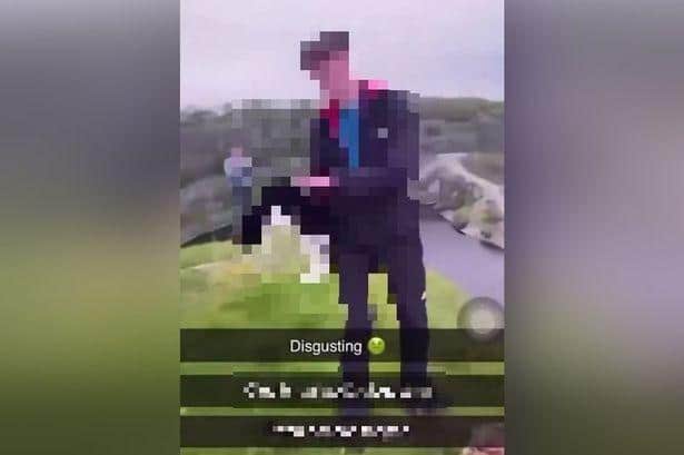 The 14-second clip, reportedly filmed in the Carnforth area, shows a teenager throwing a black and white cat from the top of a quarry