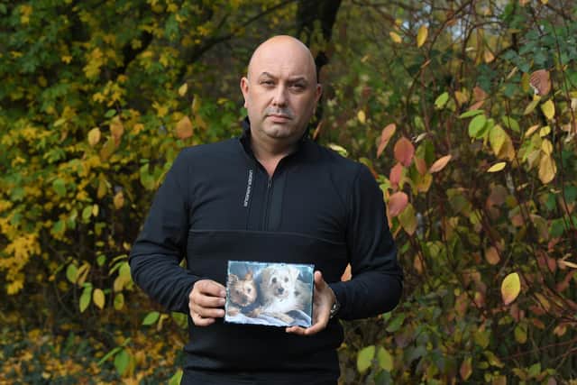 Stephen Helm  from Preston, who lost two dogs in one week - the first to cancer and the second to a vicious attack, is asking for the public's help in finding the other dog and its owner