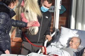 Jimmy, a patient at Trinity Hospice, had a surprise visit from his horse, Lola.