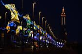 Rosemere Cancer Foundation's Walk the Lights