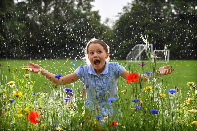 Barnacre Road Primary School wild flower garden - Isla gets caught in a downpour