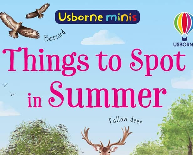 Things to Spot in Summer by Lara Bryan, Kate Nolan and Di Brookes
