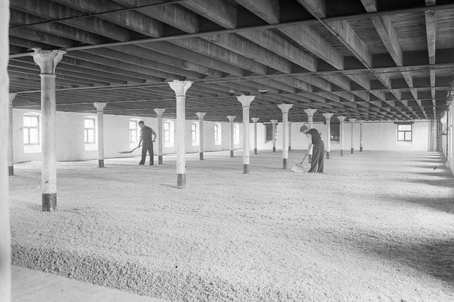 The drying room at the Drybrough Brewery, run by Bates and Sons Ltd in Craigmillar, in October 1955.