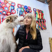 Julie-Ann Darlington with Skeeter, the former rescue dog, and just some of his winner's medals. Julie, from Garstang, took in Skeeter from a rescue shelter but in just a few short years and has trained him to compete in agility competitions.