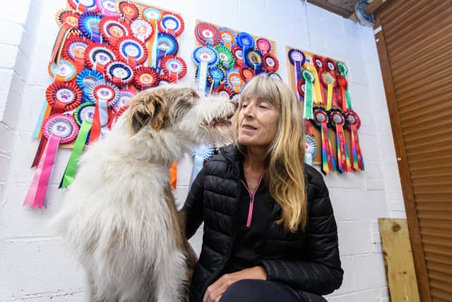 Julie-Ann Darlington with Skeeter, the former rescue dog, and just some of his winner's medals. Julie, from Garstang, took in Skeeter from a rescue shelter but in just a few short years and has trained him to compete in agility competitions.