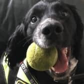 Lancashire Police Dog Jett passed away following a short battle with cancer.