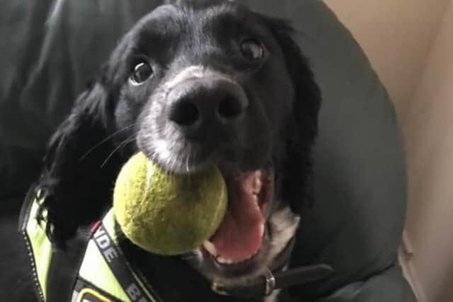 Lancashire Police Dog Jett passed away following a short battle with cancer.