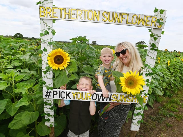 Kate Eckersley with Archie, six, and Peter, three, at Bretherton Sunflowers fields.