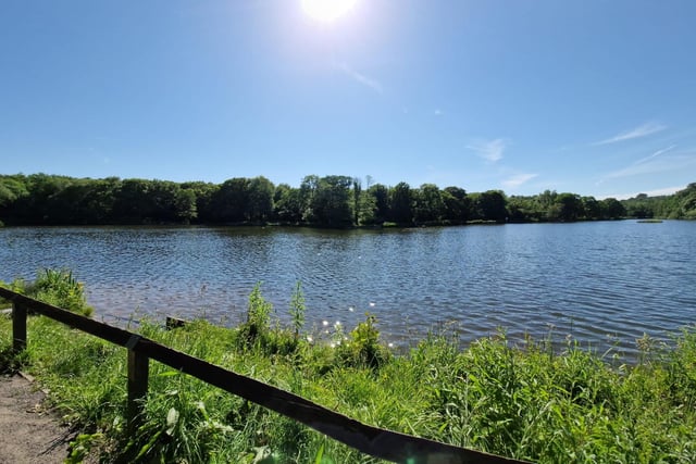 Sun shines over the lake at Yarrow Valley Country Park