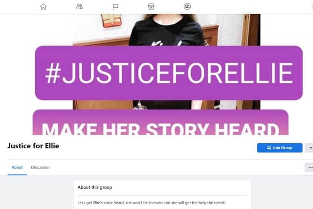 A Facebook page has been set up called 'Justice for Ellie' by the family of a woman found guilty of seven offences of perverting the course of justice.