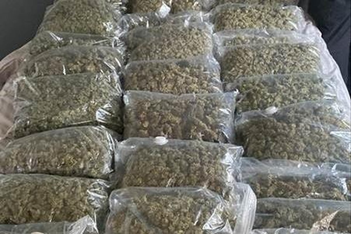 Huge haul of bagged cannabis seized after police raid at Preston Docks