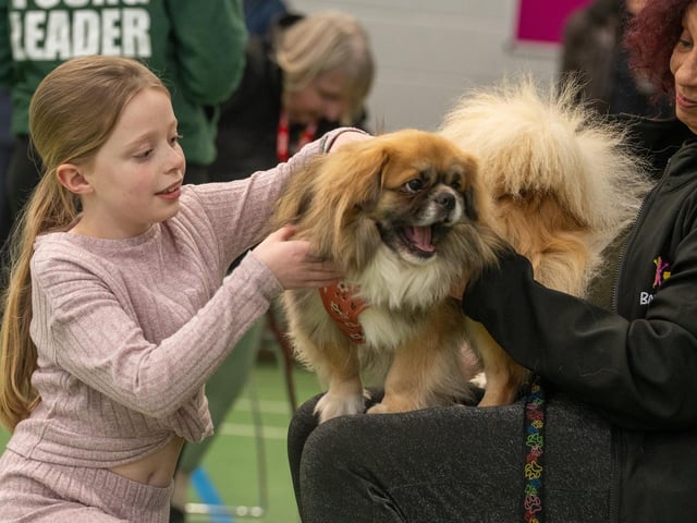 The workshop is aimed at children aged between 4-11 to educated them on safe interactions with dogs at Inspire Youth Zone, Chorley
