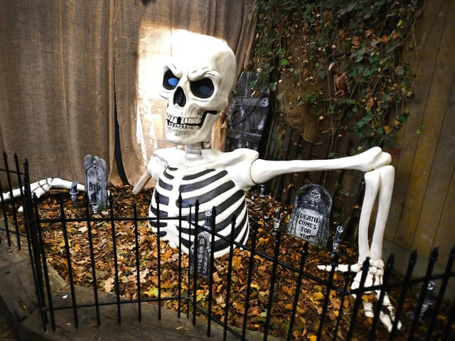 Paul's Farm Pumpkin Patch, Leyland, are ready to host their third and final weekend of Halloween family fun.