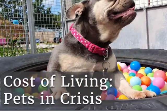 A new documentary about pets in the cost of living crisis airs on Shots TV, Freeview channel 236