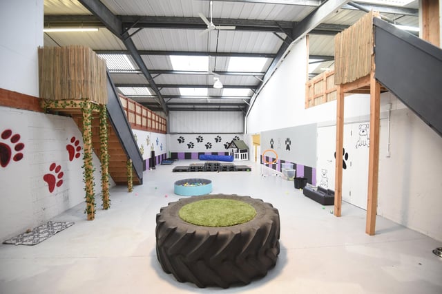 Nico's Doggy Daycare in Poulton has been set up by Joe Clegg and Kay Read